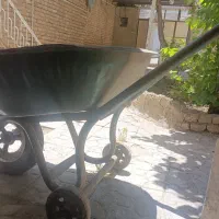 فرغون