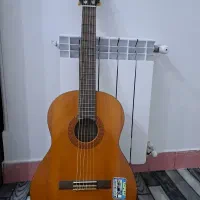 گیتار c40 اصل