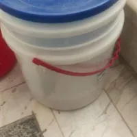 سصل
