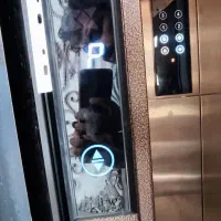 نصب و تعمیرات آسانسور|خدمات پیشه و مهارت|نظرآباد, نظرآباد|دیوار