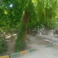 تهاتر-تخصص-ماست