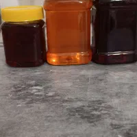 عسل طبیعی عناب و زرشک  خراسان جنوبی|خوردنی و آشامیدنی|زیرکوه, |دیوار