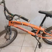 دوچرخه حرفه ای