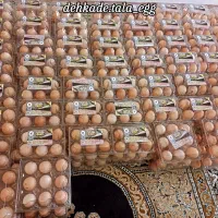 تخم مرغ رسمی محلی|خوردنی و آشامیدنی|ساری, |دیوار