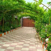 باغ ویلایی بسیار قشنگ ومفید