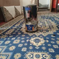 سبزی خرد کن