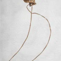 طلا|جواهرات|ایوان, |دیوار