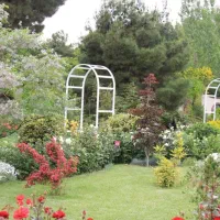 طراحی و محوطه سازی فضای سبز و هرس درختان و گل کاری|خدمات باغبانی و درختکاری|تهران, شهرک غرب|دیوار