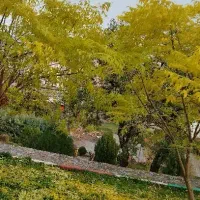زمین زراعی روستای نوره