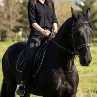 اِدیت فوری تصویر با تم یلدایی|خدمات رایانهای و موبایل|شیراز, آزادی|دیوار