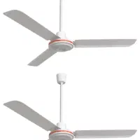 دوعددپنکه سقفی ۱میلیون