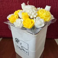 گل شمع|کلکسیون و سرگرمی|اصفهان, مهرآباد|دیوار