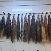 خرید و فروش موی طبیعی مو