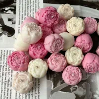 آموزش شمع سازی|خدمات آموزشی|شیراز, آبیاری|دیوار