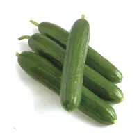 خیار