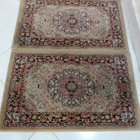 پادری قهوه ای گردویی