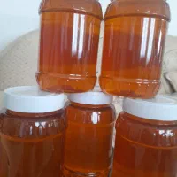 عسل طبیعی لرستان بدون موم خوشمزه خوش عطر|خوردنی و آشامیدنی|محمدشهر, ولدآباد|دیوار