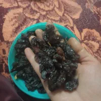 انواع میوه های خشک شده بسیار تمیز و خوشمزه|عمده‌فروشی|صدرا-فارس, فاز ۱|دیوار