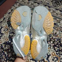 کفش والیبال|کیف، کفش، کمربند|ارومیه, |دیوار