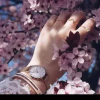 طلا