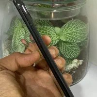 آیفون ایکس 256|موبایل|محمدشهر, سیدآباد|دیوار