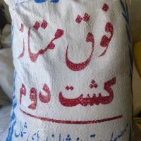 برنج به قیمت عمده مستقیم از شالیزار