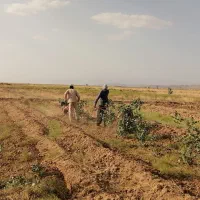 سلام ۲ ساعت آب از چاه های اطراف چاهک موسویه