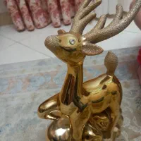 تعدادی دکوری|مجسمه، تندیس، ماکت|رشت, معلم|دیوار