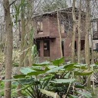 کلبه های خاص با شرایط خاص