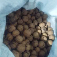 گردو روغنی مشگین شهر