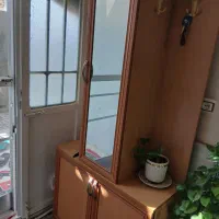 جاکفشی،|جاکفشی، کمد، دراور|نیشابور, سرآب کوشک|دیوار