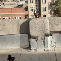 ککیلی الا بوغاز