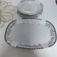 ظروف چینی