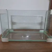 آکواریوم شیشه خم شرکتی