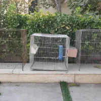 قفس پرندگان