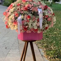 گلفروشی ارکیده|گل و گیاه طبیعی|تهران, شهرک خرازی|دیوار