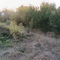 باغ|فروش زمین و ملک کلنگی|برخوار, |دیوار