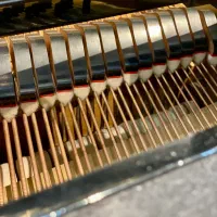 پیانو اکوستیک گرند یاماها|پیانو، کیبورد، آکاردئون|تهران, زعفرانیه|دیوار