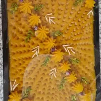 رولت خرما و حلوا|خدمات پذیرایی، مراسم|جهرم, |دیوار