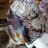 شجر کلکسیونی فردوس خاص ترین شجر ایران|کلکسیون اشیاء عتیقه|خرمآباد, |دیوار