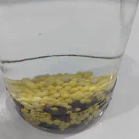 تخم خاویار
