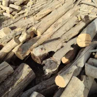 خریدو فروش چوب هیزمی و صنعتی|خدمات باغبانی و درختکاری|کرج, اتمسفر|دیوار