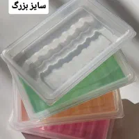 جاگوشتی سیلیکونی