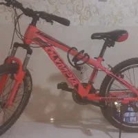 دوچرخه المپیا سایز ۲۴ مدل ردبول 02