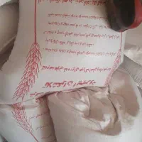 ۲۰کیسه گندم واران اصلاح شده