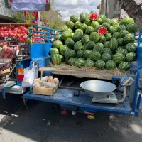 کارگر میوه فروشی سیار