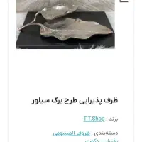 ظرف پذیرایی طرح برگ سیلور