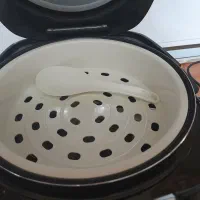 دستگاه پخت چندکاره(پلوپز،آرام‌پز،سرخ‌کن)|اجاق گاز و لوازم برقی پخت‌وپز|خوانسار, |دیوار