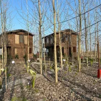 ویلا چوبی در یک منطقه گردشگری|فروش خانه و ویلا|فولادشهر, باغشاد|دیوار