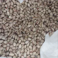 پسته درجه۱|خوردنی و آشامیدنی|مه ولات, |دیوار